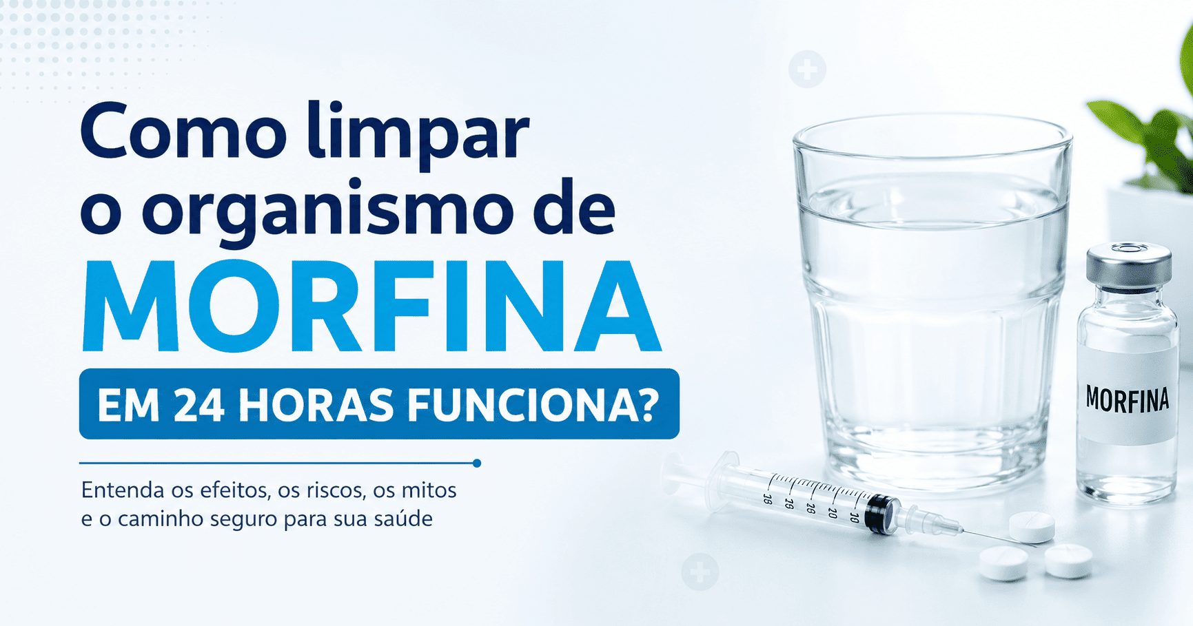 Como limpar o organismo de Morfina